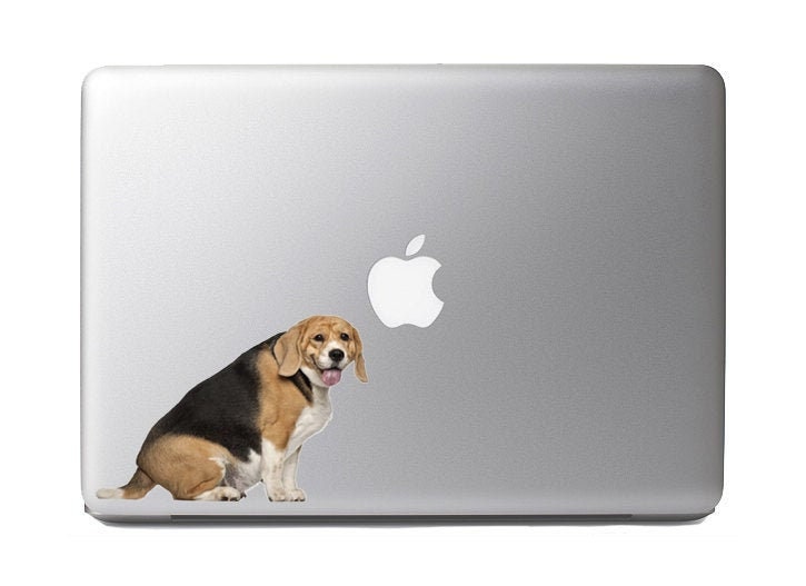Chunky Beagle Sitting- Vibrant Vinyl Decal Sticker