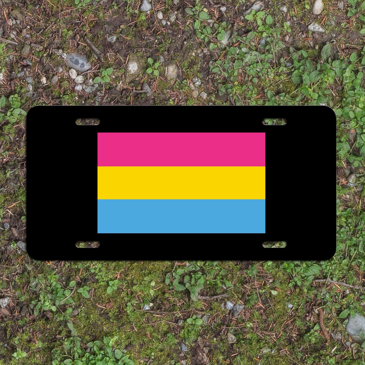 Pansexual Pride Flag LGBTQ+ - Vibrant Color Aluminum License Plate (Black Plate)