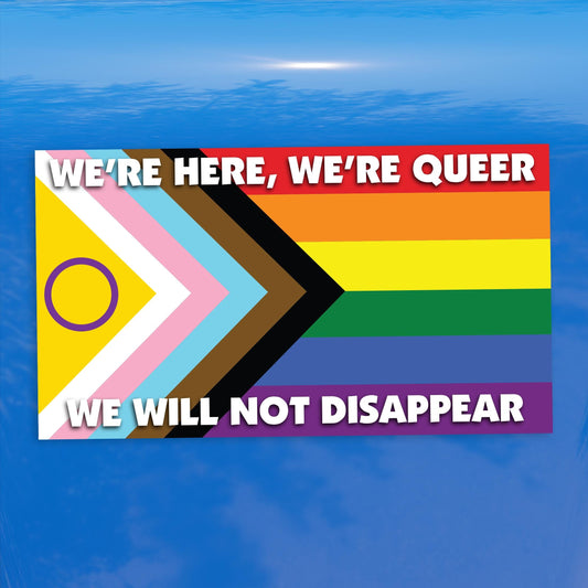 We're Here We're Queer We Will Not Disappear Progress Pride Flag Decal – LGBTQ+, POC, Transgender Vibrant Vinyl for Cars, Laptops, and Glass