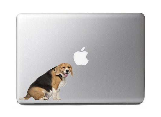 Chunky Beagle Sitting- Vibrant Vinyl Decal Sticker