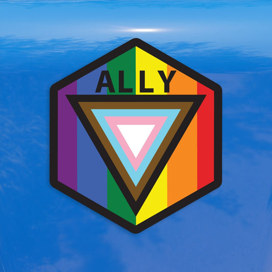 Ally Hexagon Safe Space Progress Pride Flag LGBTQ POC Transgender Flag - Vibrant Color Vinyl Decal Sticker
