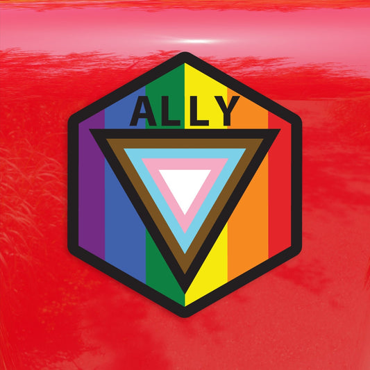 Ally Hexagon Safe Space Progress Pride Flag LGBTQ POC Transgender Flag - Vibrant Color Vinyl Decal Sticker