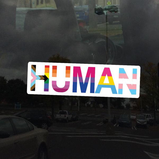 Rectangle Human Progress LGBTQ+ Flags Rainbow Lesbian Bisexual Pansexual Transgender Asexual - Vibrant Vinyl Decal Sticker