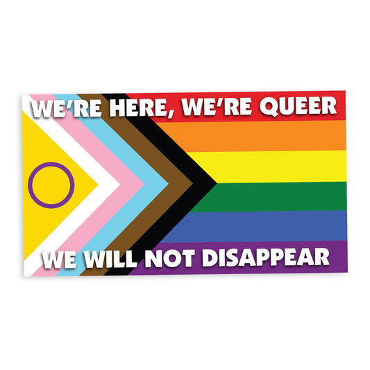 We're Here We're Queer We Will Not Disappear Progress Pride Flag – Static Cling Window Cling – Indoor and Outdoor, Vibrant Color