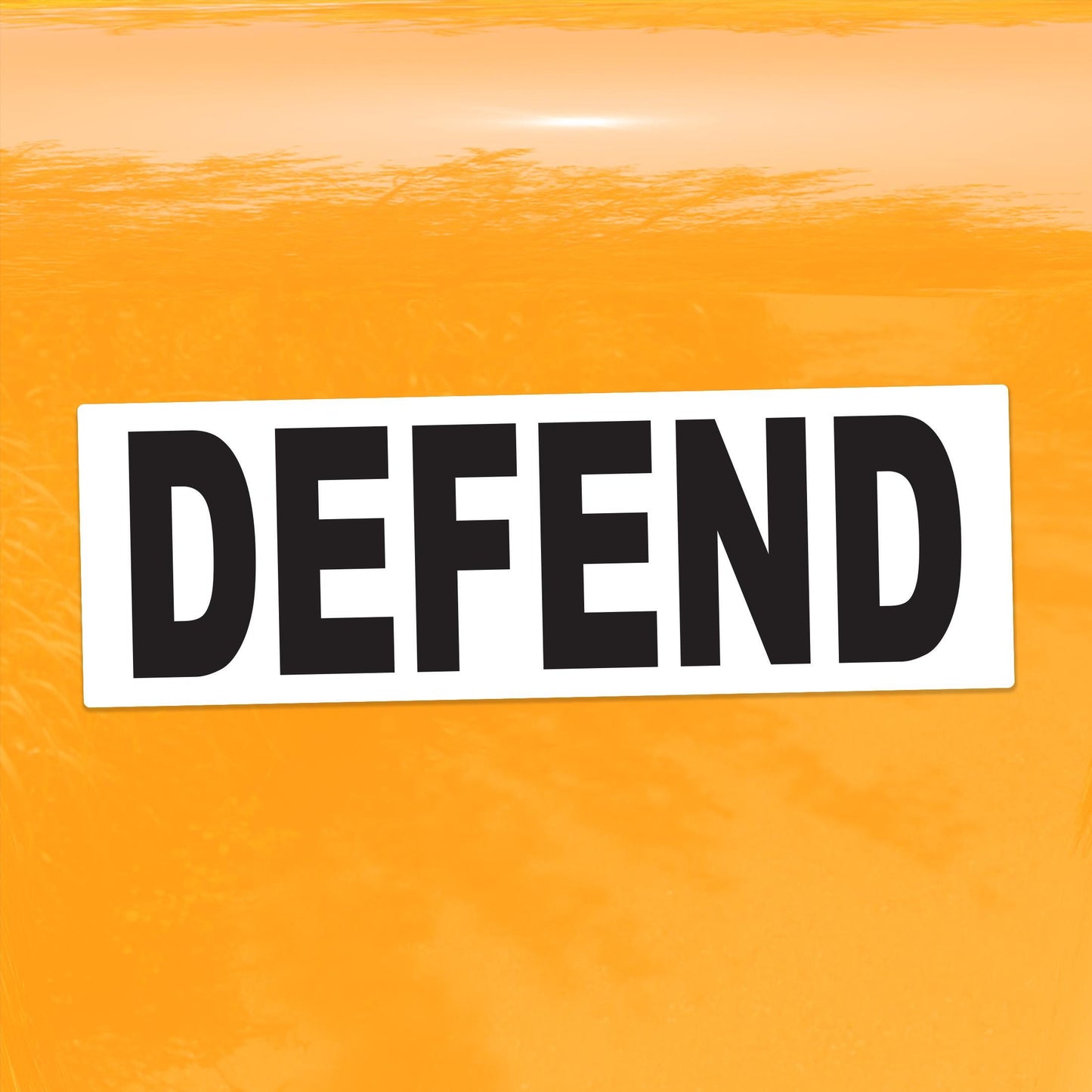 Defend Protest Vinyl Decal – Vibrant Social Justice Sticker for Cars, Laptops, Windows, and More