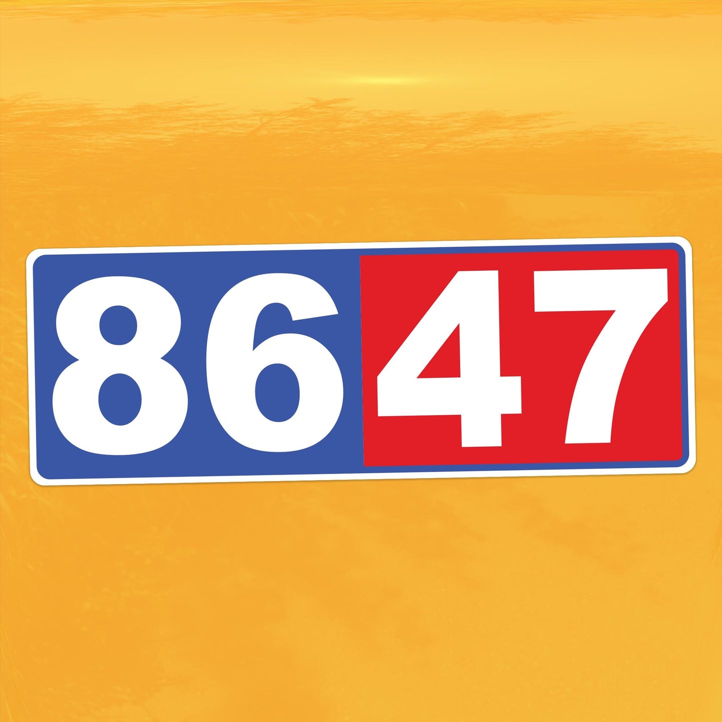 8647 Anti Trump Protest Decal - Resist Divisive Leadership - Activism Vinyl Sticker for Cars, Laptops, and Water Bottles