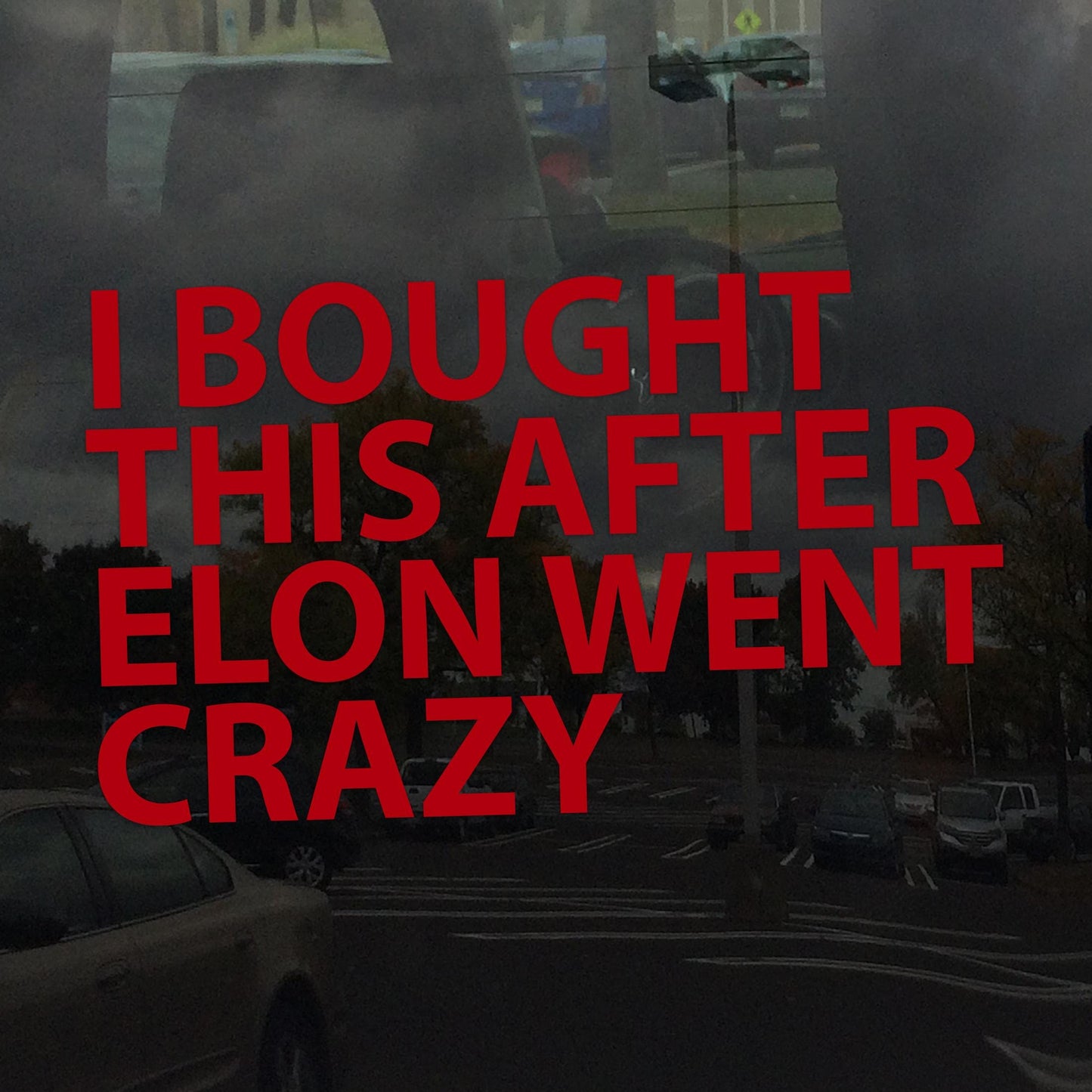I Bought This After Elon Went Crazy Decal – Anti-Oligarchy, Anti-Billionaire Protest Sticker