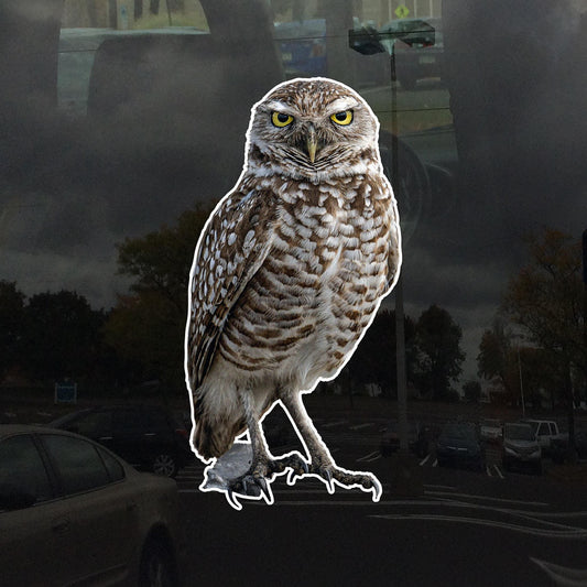 Photo Realistic Cute Owl Window Cling - Vibrant Static Cling Window Cling Indoor and Outdoor!
