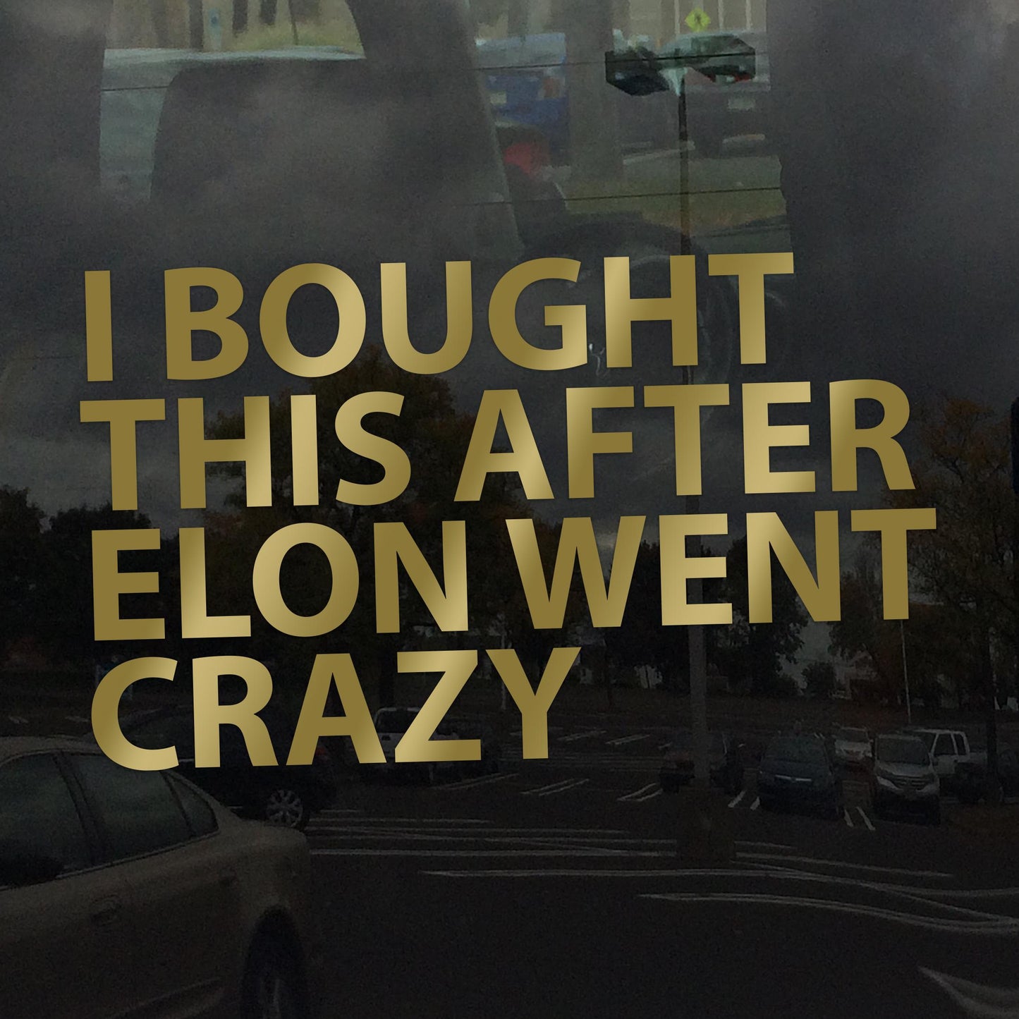 I Bought This After Elon Went Crazy Decal – Anti-Oligarchy, Anti-Billionaire Protest Sticker