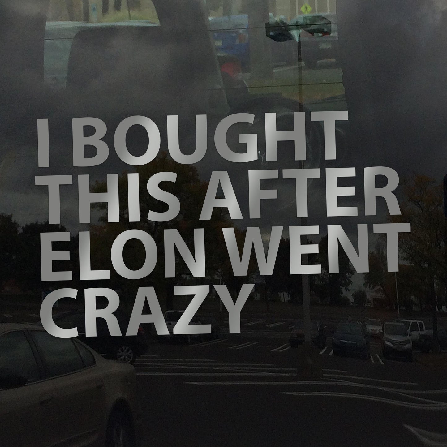 I Bought This After Elon Went Crazy Decal – Anti-Oligarchy, Anti-Billionaire Protest Sticker