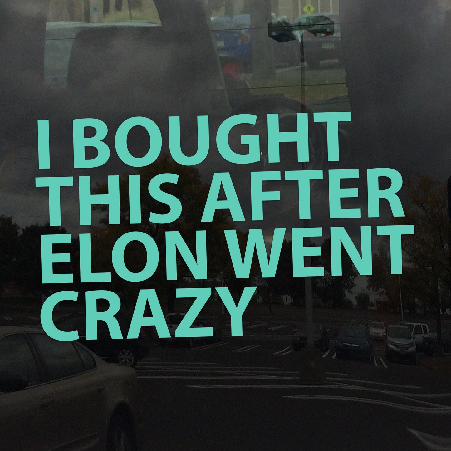 I Bought This After Elon Went Crazy Decal – Anti-Oligarchy, Anti-Billionaire Protest Sticker