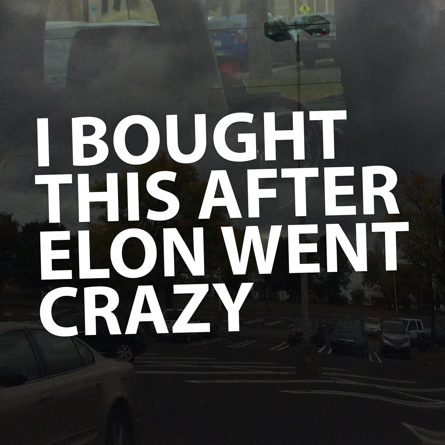 I Bought This After Elon Went Crazy Decal – Anti-Oligarchy, Anti-Billionaire Protest Sticker