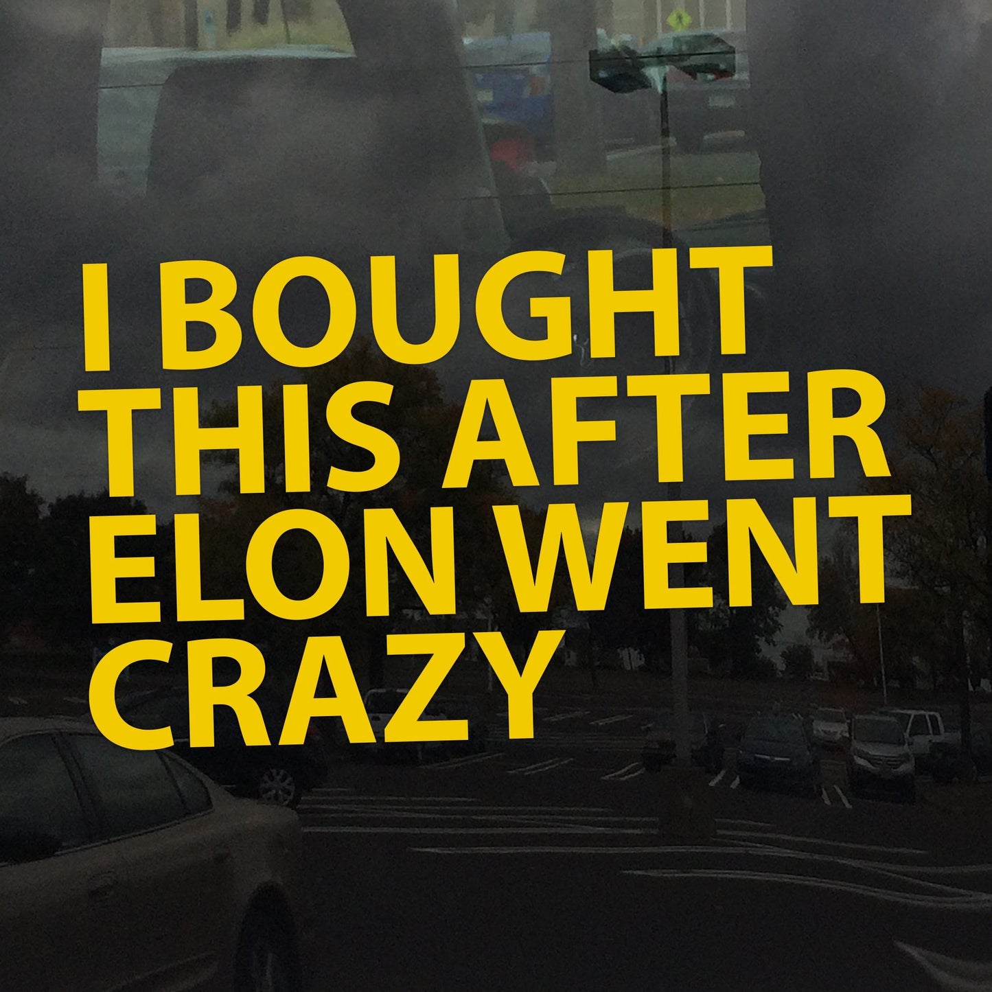 I Bought This After Elon Went Crazy Decal – Anti-Oligarchy, Anti-Billionaire Protest Sticker