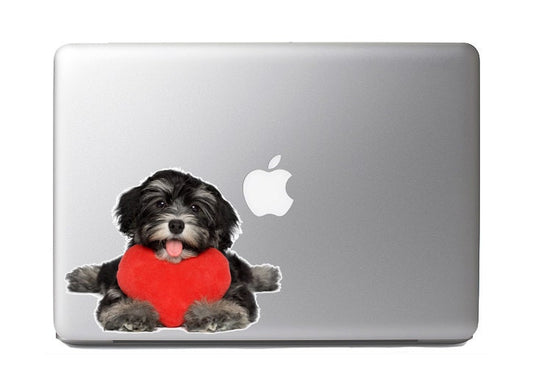 Cute Fluffy Animals #8 - cute valentine havanese puppy holding a red heart - Vibrant High Resolution Full Color Vinyl Laptop Tablet Decal