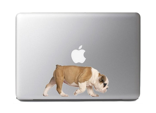 Cute Fluffy Animals #17- English Bulldog puppy - Vibrant High Resolution Full Color Vinyl Laptop Tablet Decal